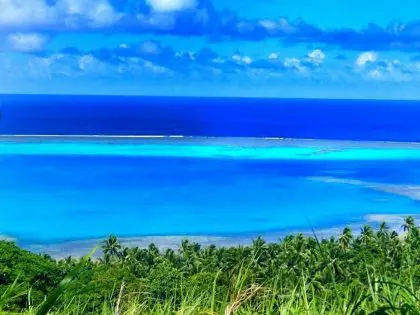 Coronavirus Information