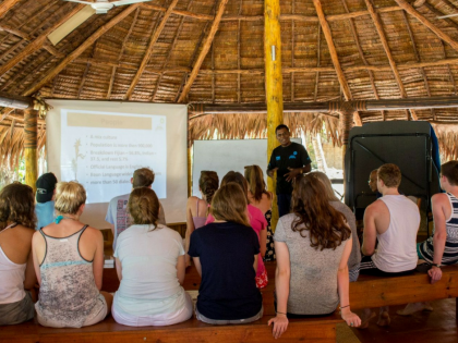 Examples of Student Mobility