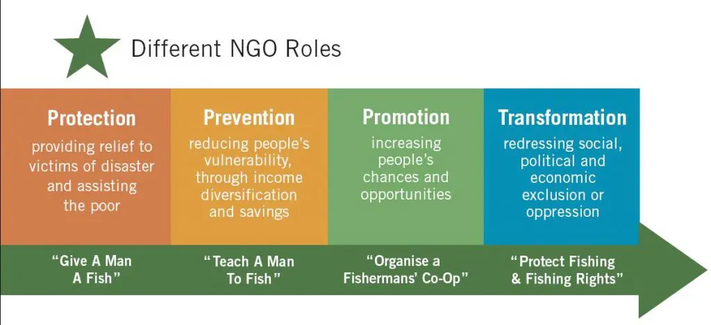 ngo-roles
