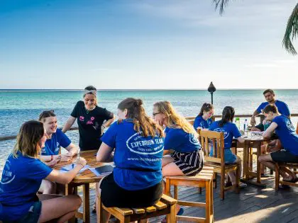 Think Pacific Virtual Internship 101 – Highlights, Employability Skills and Top Tips