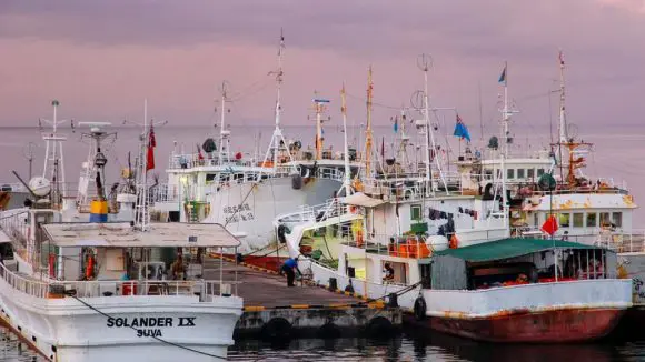 fishing-boats