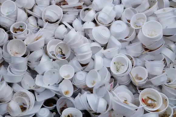 used foam food containers 2
