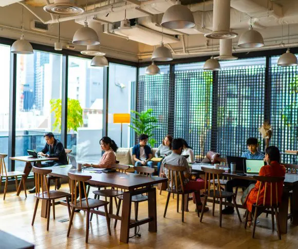 Business Bali