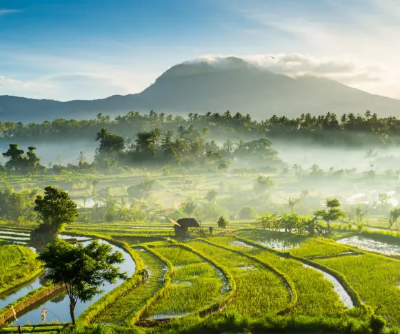Bali 2025
