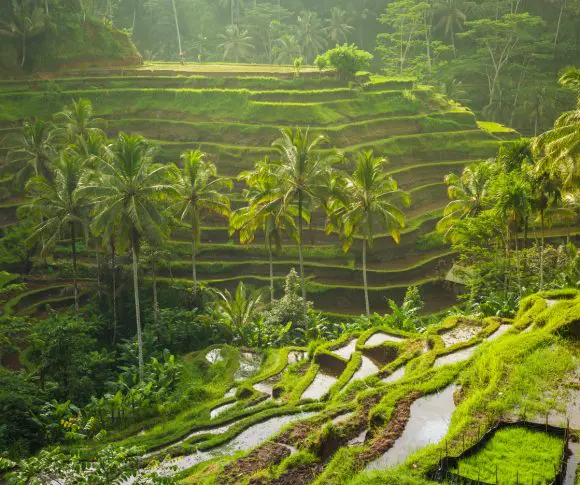 Bali 2025