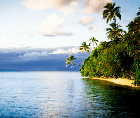 Fiji Briefing