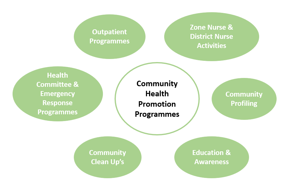 Community Health Promotion Think Pacific